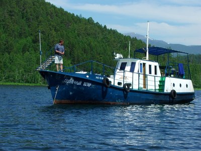 Русские медведи