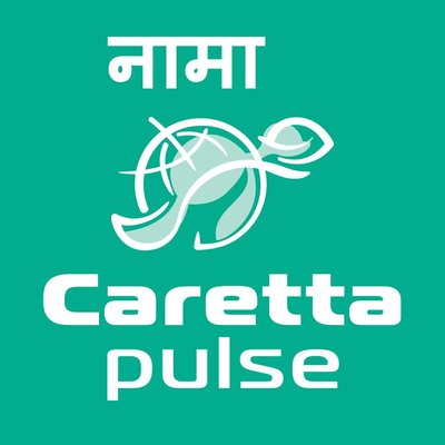 CarettaPulse
